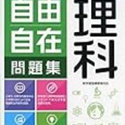 日能研-桜子4年生-テスト結果 カテゴリーの記事一覧 - ちゅりぷ子の