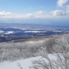 霧氷の木々の向こうに庄内平野、その奥には日本海