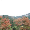 若狭・京都紅葉旅　⑥牛若丸と鞍馬天狗で有名な鞍馬山の紅葉巡り