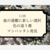 1/28　鹿の運搬/色の違う糞/マンハッタン発見