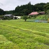 社会と自然のバランスのなかで。その気持ちいいところ。