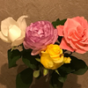 【1193】バラの花2