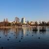 上野公園の不忍池もジョギング・ランニングに良いコースだと思ったけど全然メジャーでは無い件