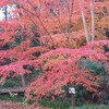 綺麗な骨してるだろ　ウソみたいだろ　折れてるんだぜ　ソレで（鎖骨）