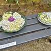 あの時あの世に行ってたら…