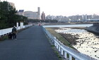 2023/03/15（水）　 フォト日記  [3/14-15 ]