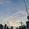 関与
