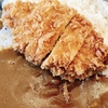 【家事ヤロウ】生姜焼き定食・カツカレー・巨大アジフライ・かつおのたたき「動坂食堂」東京・文京区！行列のできる食堂メシ【5月27日】