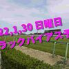 2022,1,30 日曜日 トラックバイアス予想 (東京競馬場、中京競馬場、小倉競馬場)