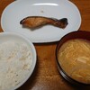 鮭のみりん焼き→グラタン