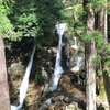 春の風景と山の幸