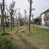 歴史館の前の広場（東京都武蔵野市）