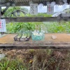 病院帰りに