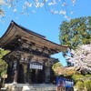 【滋賀県】『三井寺(園城寺)』に行ってきました。　桜　滋賀県桜 