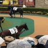 東京競馬6R パドック直前予想 ◎6 プロトイチバンボシ