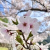 〚下関行ったら絶対食べて〛北九州からわざわざ食べに行きたい山口県で食べれるスイーツ！