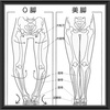 【まだまだ伸びる！】簡単！o脚矯正ストレッチ