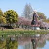 子育て家族・お花見満喫！都会の穴場スポット☆まるでヨーロッパの風景！風車の公園でピクニックはいかが♡♡浮間公園