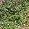 早朝は３℃！日中は晴れそして曇り？気温は１２℃！