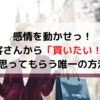 感情を動かせ！お客さんから「買いたい！」と思ってもらう唯一の方法！