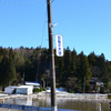 長嶺大池のハクチョウを見に