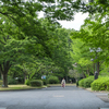 猿江恩賜公園, X-T30 II