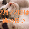 2月22日は猫の日！猫イベントや世界の猫の日をご紹介