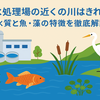 【下水処理場の排水は安全？】川の水質と生態系の実態とは