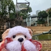 #上野動物園#アルン