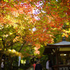 金剛輪寺で紅葉や千体地蔵など@2018秋