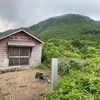 袴腰山　ススタケ採り
