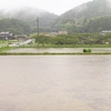 小麦畑に水を張れ！