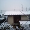 雪つもりました