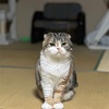 4年後が楽しみだ✊🏻