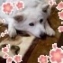 ちゃんとねなくちゃ