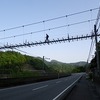 サスペンス！塩郷の吊橋