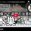 ぎふ県旅シリーズ第６３弾＠本巣：想像力で満開の淡墨桜