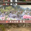 8.當麻寺(ぼたん祭)