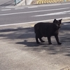足音