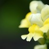 ハーレムの男たち 840話 ネタバレ 先読み 原作 あらすじ 皇配候補たちへの試験