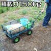 アストロプロダクツのカートをキャンプの荷運び手段の選択肢に入れるのも悪くないと思う