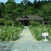 萩の寺　加賀市大聖寺の実性院