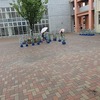 １年生：道徳「ぼくのあさがお」