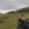 Dayz