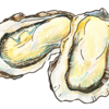 柴胡加竜骨牡蠣湯の生薬パート2
