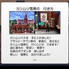 ポケットモンスターソード　冠の雪原の旅（１）