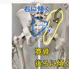 脚が痺れる理由