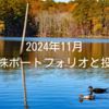 2024年11月｜高配当株ポートフォリオと投資状況