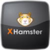 無料でxHamsterから動画をダウンロードする方法