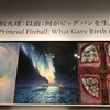 蔡國強（ツァイグオチャン）展にも行く　（8月10日）